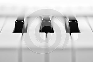 Close-up of piano keys