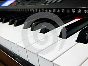 Close up of piano tuts key