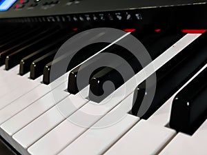 Close up of piano tuts key