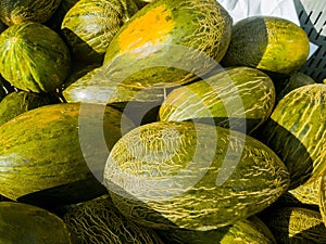 Close up picture of a bunch of melons at the market