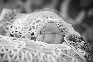 Close up picture of new born baby feet. Black-and-white photo.