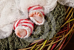 Close up picture of new born baby feet, christmas time. Soft fokus