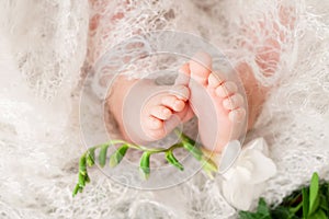 Close up picture of new born baby feet on knitted plaid and flowers