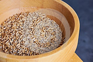 Close up picture of spelt grains in a mill