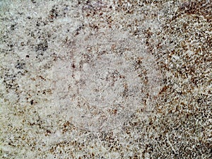 Close up picture of texture drumhead. photo