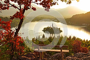 CLOSE UP: Picturesque shot of an empty wooden bench and the famous lake Bled.