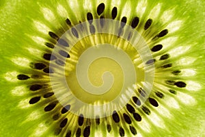 Close-up of a piece of fresh ripe kiwi green. Kiwi or Chinese gooseberry close-up. Fresh juicy slice of fruit with seeds