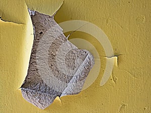 Close-up of piece of peeled paint from yellow painted wall