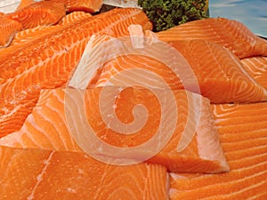 Close up pieces of salmon fish.