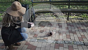 CLOSE UP: pigeons running around young woman. Girl feeding. Animals taking food from human hand