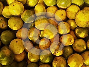 close-up of pile of citruses for sale in the market