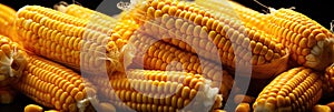 A Close Up Of A Pile Of Corn On The Cob