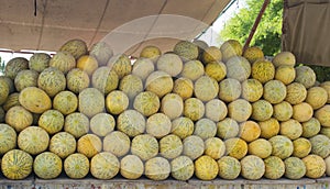 Close up of pile of delicious melons in a market