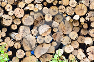 Close up of a pile of firewood