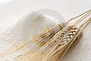 Close-up of a pile of flour and ears of wheat being sifted