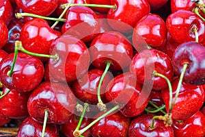 Close-up of a pile of fresh cherries photo