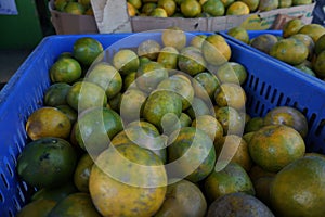 Close up of a pile of fresh local citrus fruits in a fruit basket in a traditional fruit shop for sale