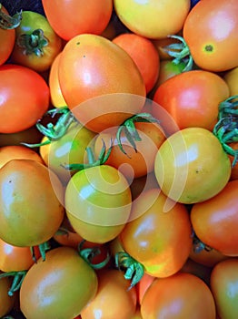 Close up of A pile of fresh red tomatoes, Fresh red tomato yields