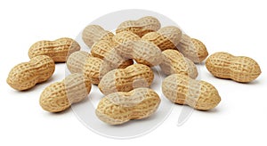 Pile of Fresh Peanuts on White Background