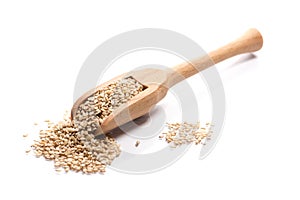 Close-up of pile of raw whole grain sesame seeds in a wooden spoon on white background