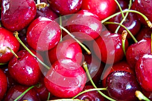 Close up of pile of ripe cherries with stalks and leaves. Large collection of fresh red cherries