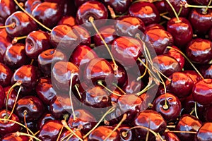 Close up of pile of ripe cherries with stalks and leaves. Large collection of fresh red cherries. Ripe cherries background