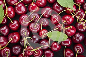 Close up of pile of ripe cherries with stalks and leaves. Large collection of fresh red berry