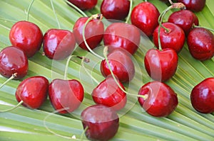 Close up of pile of ripe cherries with stalks and leaves. Large collection of fresh red cherries. Ripe cherries