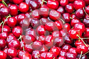 Close up of pile of ripe cherries with stalks. Large collection of fresh red cherries. Ripe cherries background