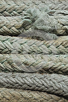 A close-up of a pile of rope