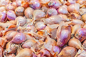 Close up of a pile of small, purple shallots being  sold at a farmer`s market. Skin is dry and peeling but these scallions are fre