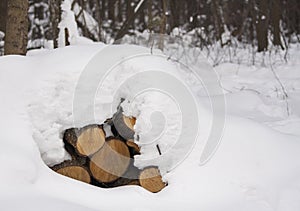 Close-up of pile of snow covered timber logs