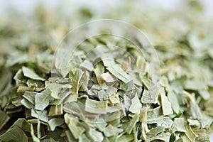 Tarragon photo