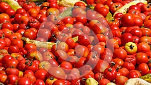 Close-up of a pile of tomatoes