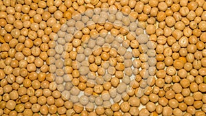 Close up pile of yellow gram flour beans texture, background pattern. Natural grains and cereals. Agricultural product concept.