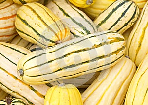 Close up on a pile of yellow and green striped summer squash