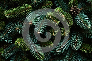 A close up of pine cones and branches background pattern