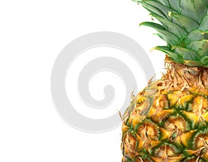 Close-up Pineapple