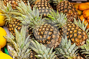 close-up of pineapples on the counter in market. textured natural fruit background