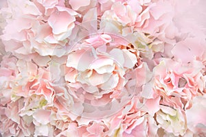 Close up Pink Artificial Flowers soft light abstract background