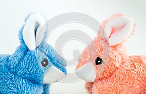 Close up of pink and blue toy Easter bunnies facing each other
