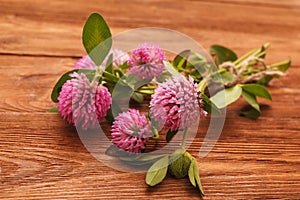 Close-up of pink clover flowers on wooden table. Medicinal plant clover. St. Patrick`s day background