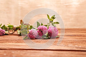 Close-up of pink clover flowers on wooden table. Medicinal plant clover. St. Patrick`s day background