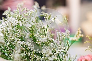 Close up Pink flowers are in bouquet arranged