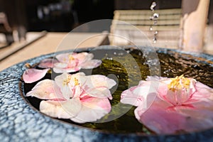 Close-up of pink flowers floating on the water surface of a Japanese Tsukubai or Cho-zu.