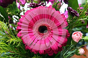 Close Up of a Pink Gerber Daisy In a Flower Boquet