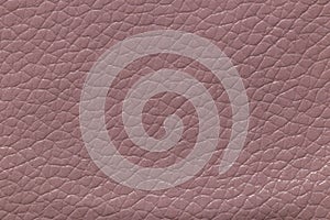 Close-up of a pink leather and a textured background