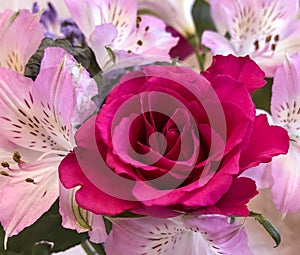 Close up of a pink Rose with Alstroemerias