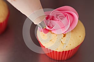 Close up pink rose frosted cupcake being piped Horizontal