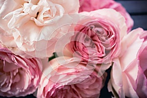 Close up of pink roses